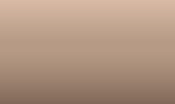 C62 – Bronze Spezial C62 – Bronze Spezial